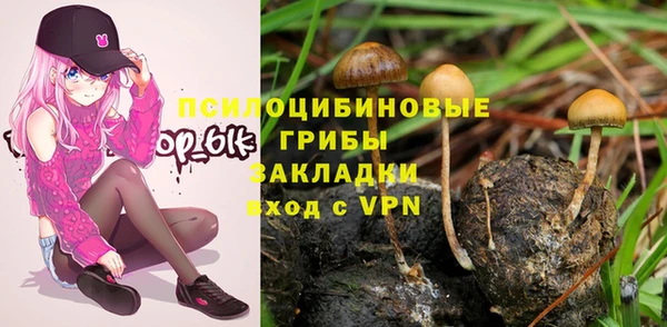 крисы Балахна