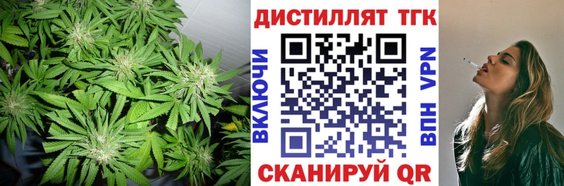 KRAKEN зеркало  где можно купить   Аркадак  Дистиллят ТГК гашишное масло 