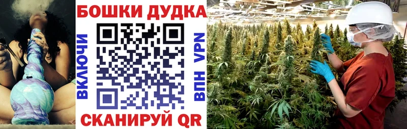 закладки  Аркадак  Марихуана сатива 
